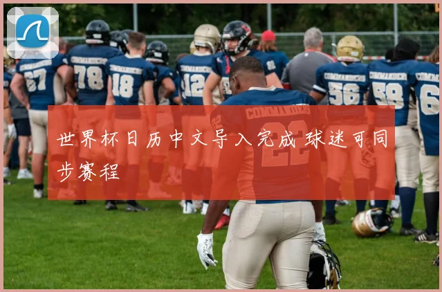 世界杯日历中文导入完成 球迷可同步赛程