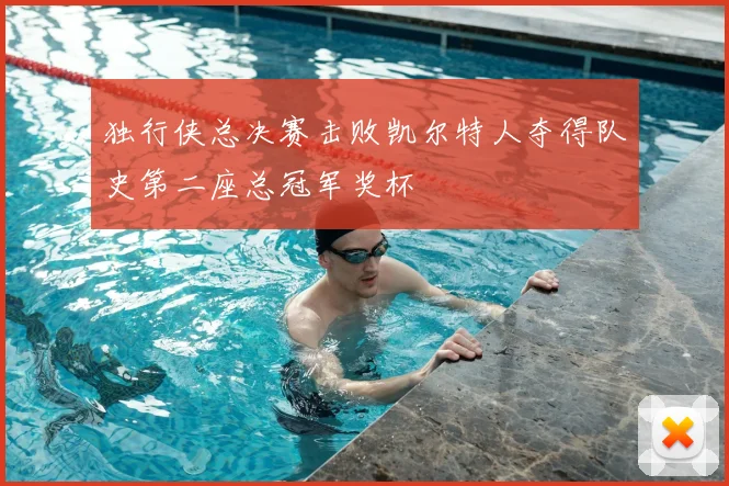 独行侠总决赛击败凯尔特人夺得队史第二座总冠军奖杯